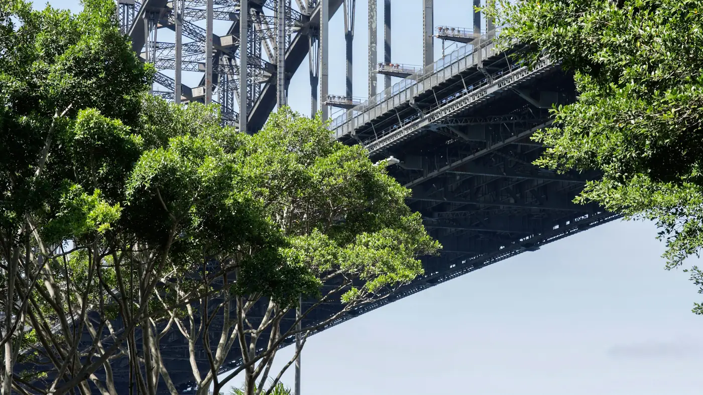 Sydney bus network redesign promises faster cross-city routes