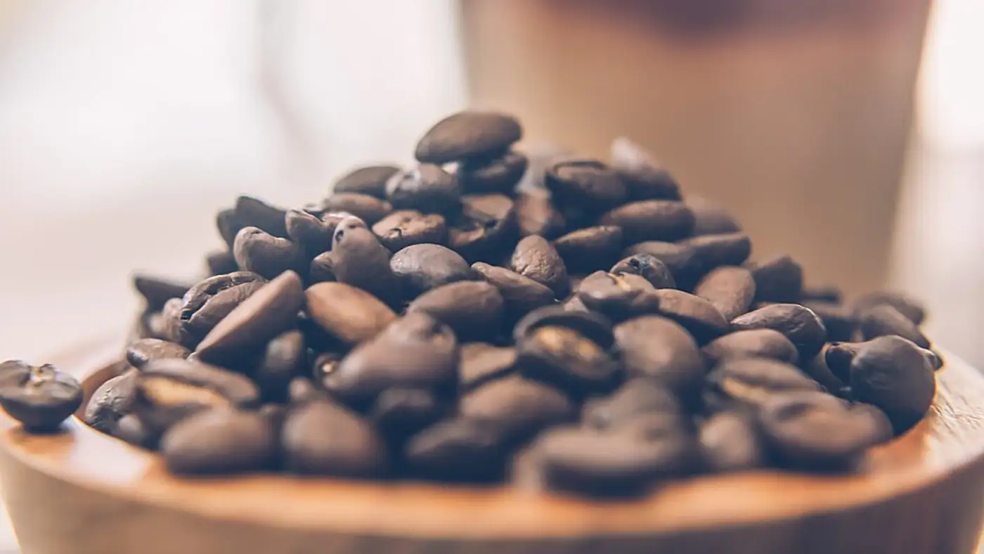 Sydney coffee culture update 2026