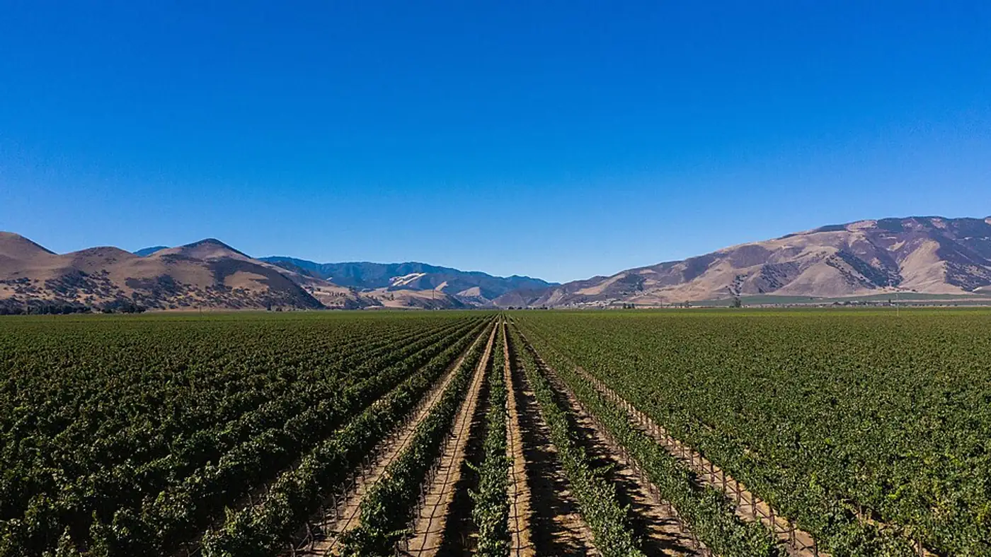 Sydney wine region update 2026